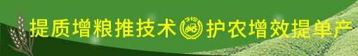 農(nóng)機(jī)3·15—提質(zhì)增糧推技術(shù)，護(hù)農(nóng)增效提單產(chǎn)
